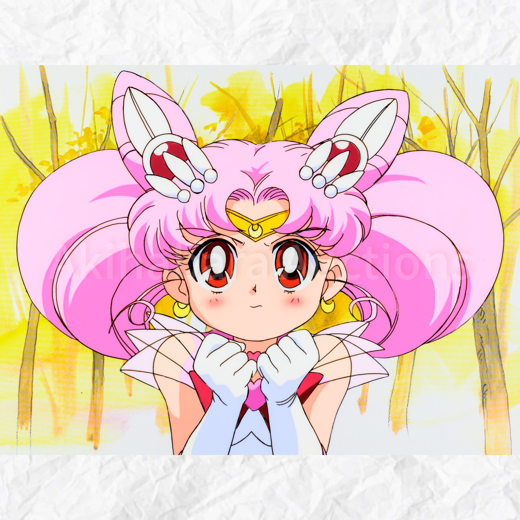 Lot 040 Pretty Soldier Sailor Moon Large Cel